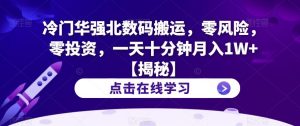 冷门华强北数码搬运,零风险,零投资,一天十分钟月入1W+【揭秘】-52资源库