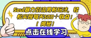 Soul暴力引流男粉玩法,轻松实现每天500+收益!【揭秘】-52资源库