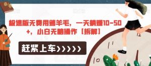 极速版无费用薅羊毛,一天躺赚10-50+,小白无脑操作【拆解】-52资源库