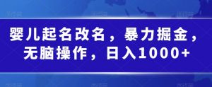 婴儿起名改名,暴力掘金,无脑操作,日入1000+【揭秘】-52资源库