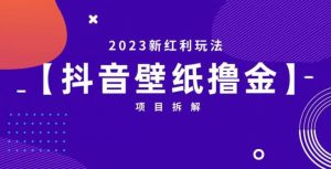 抖音壁纸小程序创作者撸金项目,2023新红利玩法【项目拆解】-52资源库