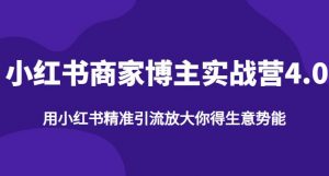 【推荐】小红书商家博主精准引流实战营4.0,用小红书放大你的生意势能-52资源库