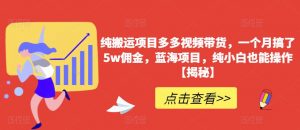 纯搬运项目多多视频带货,一个月搞了5w佣金,蓝海项目,纯小白也能操作【揭秘】-52资源库