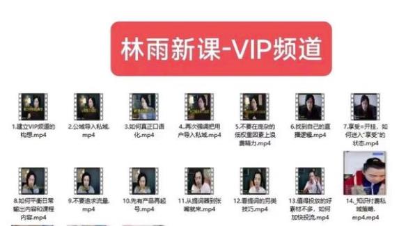 林雨新课VIP频道，玩赚私域/朋友圈/社群-52资源库