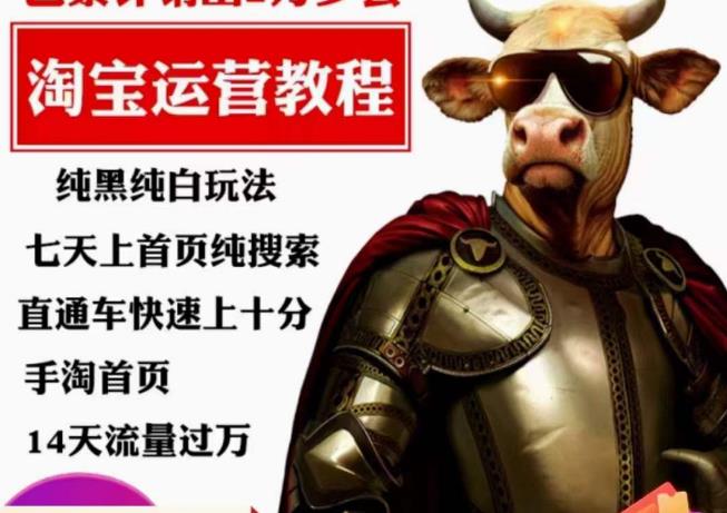 猫老师·淘系算法逆向解密，​纯黑纯白玩法，七天上首页纯搜索，手淘首页14天流量过万-52资源库