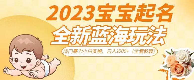 2023宝宝起名全新蓝海玩法，冷门暴力小白实操，日入1000+（全套教程）【揭秘】-52资源库