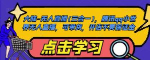 大陆-无人直播(三合一),腾讯qq小世界无人直播,可带货,开店不要保证金-52资源库