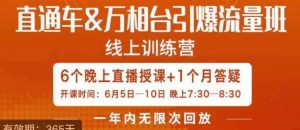 直通车&万相台引爆流量班,6天打通你开直通车·万相台的任督二脉-52资源库