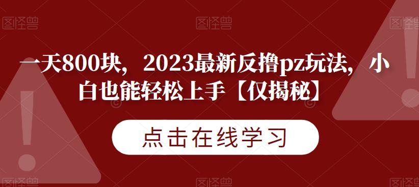一天800块，2023最新反撸pz玩法，小白也能轻松上手【仅揭秘】-52资源库