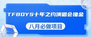 最新蓝海项目,靠最近非常火的TFBOYS十年之约演唱会流量掘金,八月必做的项目【揭秘】-52资源库
