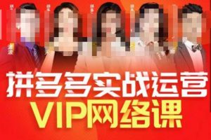 推易拼多多VIP全套直播课程,拼多多店铺实操玩法+实战玩法选款内功+直通车高阶等-52资源库