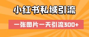 小红书私域引流,一张图片一天引流300+【揭秘】-52资源库