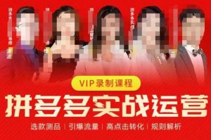 2023推易拼多多实战运营,选款测品、引爆流量、高点击转化、规则解析-52资源库