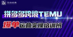 拼多多跨境TEMU爆单运营实操培训班,海外拼多多的选品、运营、爆单-52资源库