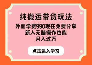 纯搬运带货玩法,外面学费990现在免费分享,新人无脑操作也能月入过万【揭秘】-52资源库