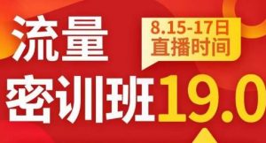 秋秋线上流量密训班19.0,打通流量关卡,线上也能实战流量破局-52资源库