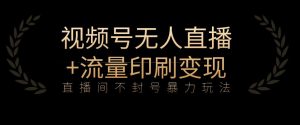 全网首发视频号不封号无人直播暴利玩法+流量印刷机变现,日入1000+【揭秘】-52资源库