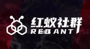 社群运营:红蚁社群【48节落地系统课程+2000人高端社群】-52资源库