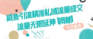 咸鱼引流精准私域流量成交流量无限延伸【揭秘】-52资源库