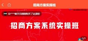 【一度招商】招商方案系统实操班 价值1980元-52资源库
