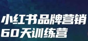 小红书品牌60天训练营第6期,GMV2亿级品牌老板都在学,教会你内容营销底层逻辑-52资源库