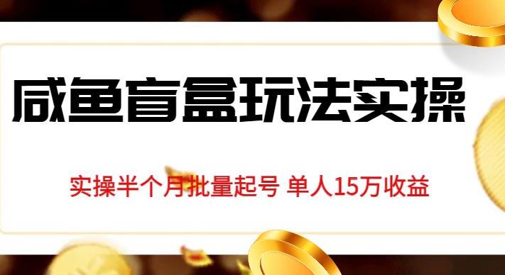 独家首发咸鱼盲盒玩法实操，半个月批量起号单人15万收益【揭秘】-52资源库