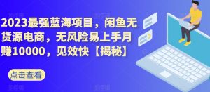 2023最强蓝海项目,闲鱼无货源电商,无风险易上手月赚10000,见效快【揭秘】-52资源库