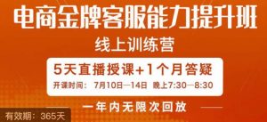 电商金牌客服能力提升班,提升客服能力是你店铺业绩的关键要素-52资源库