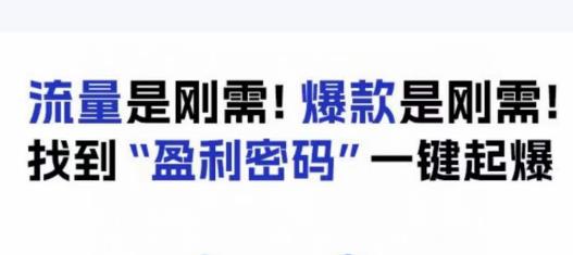 电商盈利精品课：6大盈利密码让产品更好卖，流量是刚需！爆款是刚需！找到”盈利密码”一键起爆-52资源库