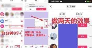 全网首发,日引500+男粉美女视频四开屏玩法,发一个爆一个【揭秘】-52资源库