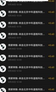 接码无限撸红包一分钟0.6无脑操作一天保底利润200-52资源库