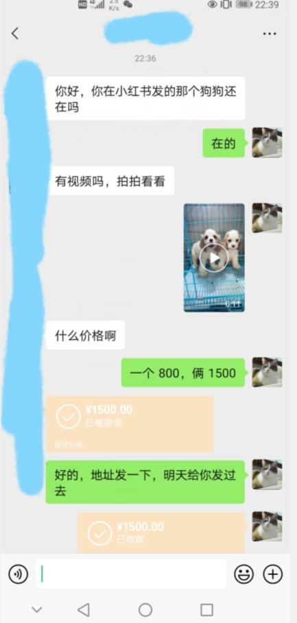 外边收费3980的同城萌宠项目，用最冷门的玩法冲击最热门的市场【揭秘】-52资源库