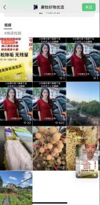 外面收费198的最新视频号连怼技术,条条原创,条条爆单【揭秘】-52资源库