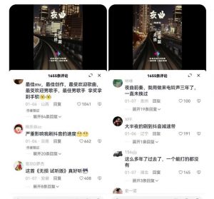 副业拆解:抖音杰伦音乐号涨粉变现项目,视频版一条龙实操玩法分享给你-52资源库