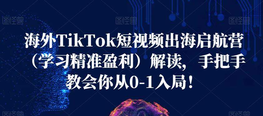 海外TikTok短视频出海启航营（学习精准盈利）解读，手把手教会你从0-1入局！-52资源库