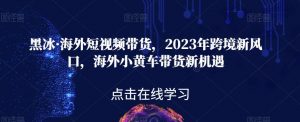 黑冰·海外短视频带货,2023年跨境新风口,海外小黄车带货新机遇-52资源库