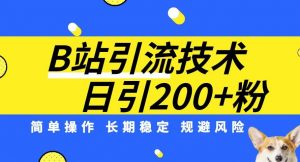 B站引流技术:每天引流200精准粉,简单操作,长期稳定,规避风险-52资源库