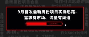 9月首发最新男粉项目实操思路-需求有市场,流量有渠道【揭秘】-52资源库