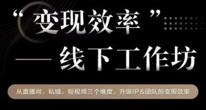变现效率线下工作坊,从播直间、私域、视短频个三维度,升级IP和团队变现效率-52资源库