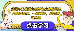 超级冷门赛道在微博引流卖明星图片最新玩法,一单88元,成交非常丝滑【揭秘】-52资源库