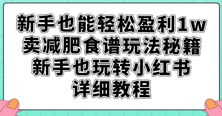 新手也能轻松盈利1w，卖减肥食谱玩法秘籍，新手也玩转小红书详细教程【揭秘】-52资源库