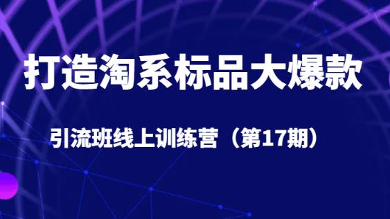 打造淘系标品大爆款引流班线上训练营（第17期）5天直播授课-52资源库