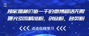 独家揭秘价值一千的微博超话无限曝光引流精准粉,创业粉,各类粉-52资源库