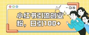 小红书引流创业粉,日引100+【揭秘】-52资源库