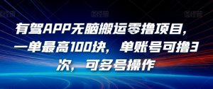 有驾APP无脑搬运零撸项目,一单最高100块,单账号可撸3次,可多号操作【揭秘】-52资源库