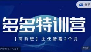 纪主任·多多特训营高阶班【9月13日更新】,拼多多最新玩法技巧落地实操-52资源库