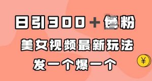 日引300+男粉,美女视频最新玩法,发一个爆一个【揭秘】-52资源库