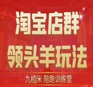 九栢米-淘宝店群领头羊玩法,教你整个淘宝店群领头羊玩法以及精细化/终极蓝海/尾销等内容-52资源库