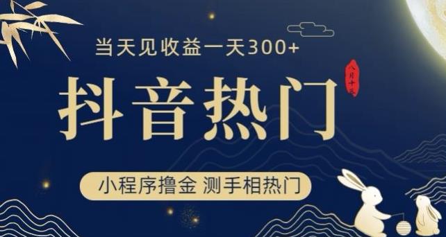 抖音最新小程序撸金，测手相上热门，当天见收益一小时变现300+【揭秘】-52资源库