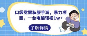 口袋觉醒私服手游,暴力项目,一台电脑轻松1w+【揭秘】-52资源库